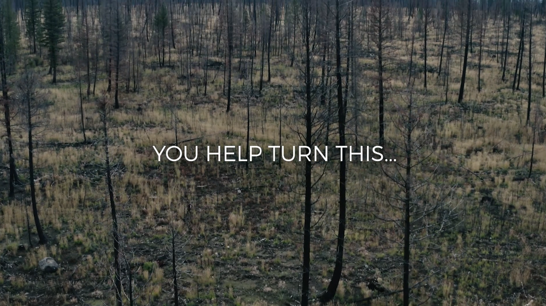 Video laden: 